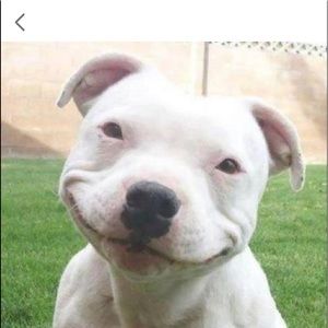 Meet your Posher, Queenie